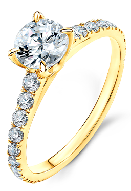 Халки Share Your Love